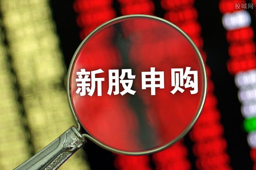愛威科技今日開啟申購，單一賬戶上限4000股，專注網(wǎng)絡(luò)技術(shù)軟件研發(fā)與銷售